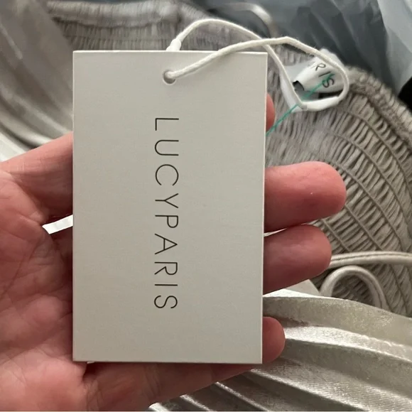 NWT Lucy Paris,Pleated Floor Length Dress In Silver Pewter Elegant Dress,Size M - Picture 5 of 8